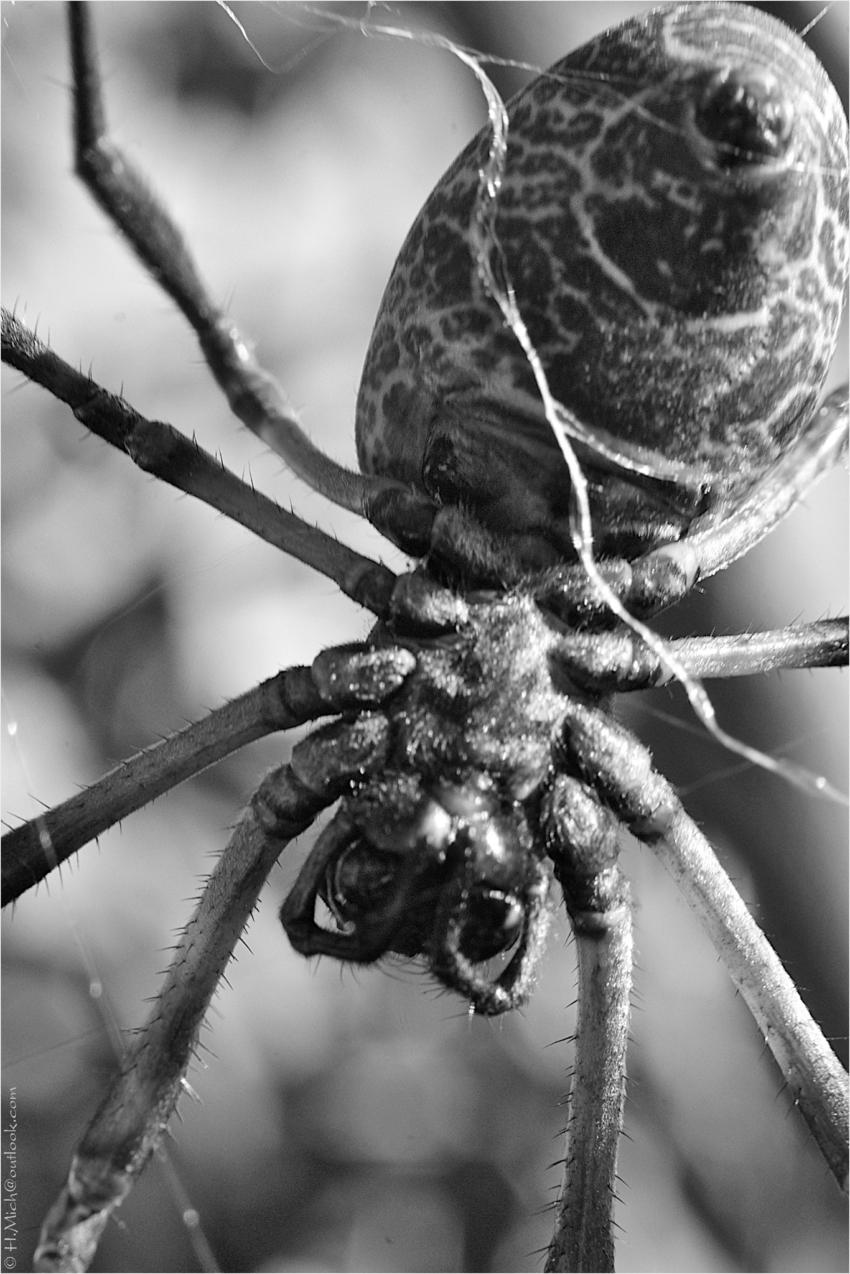 Studio-One.Art.br Repo Fotografia em Rio Preto SP/Brasil