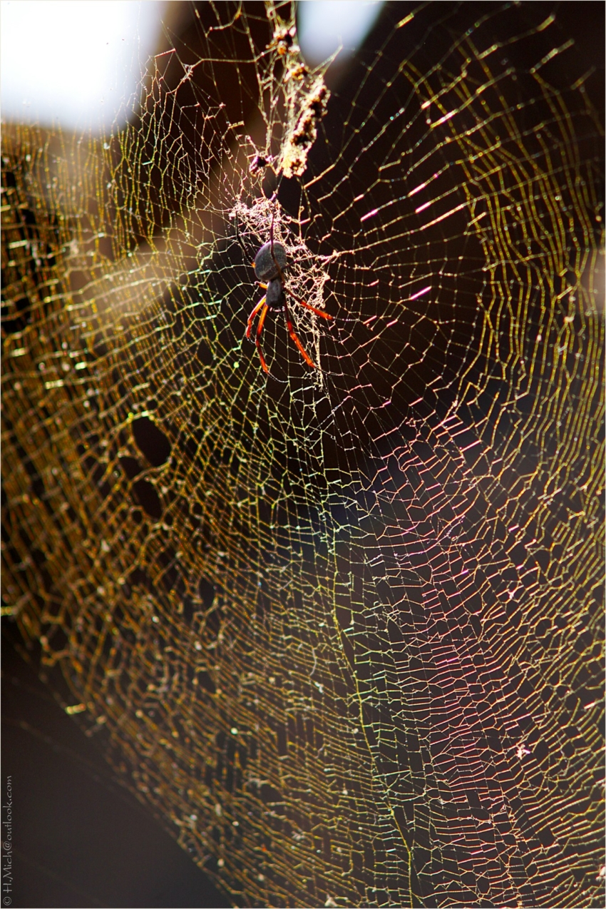 Studio-One.Art.br Repo Fotografia em Rio Preto SP/Brasil