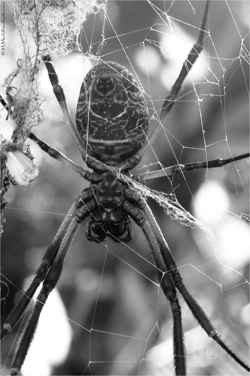 Studio-One.Art.br Repo Fotografia em Rio Preto SP/Brasil