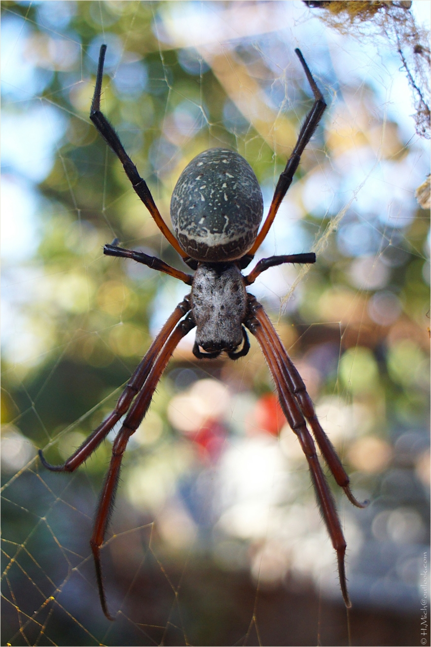 Studio-One.Art.br Repo Fotografia em Rio Preto SP/Brasil