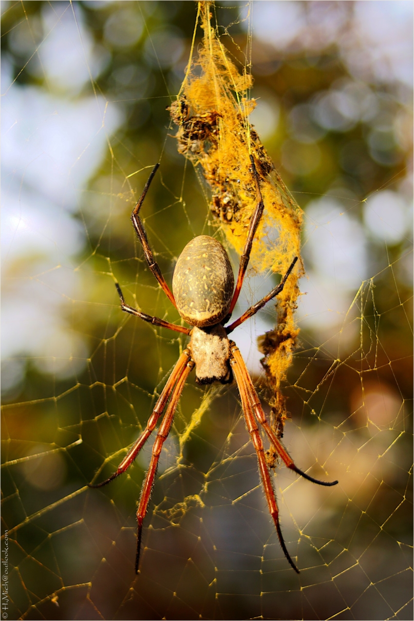 Studio-One.Art.br Repo Fotografia em Rio Preto SP/Brasil