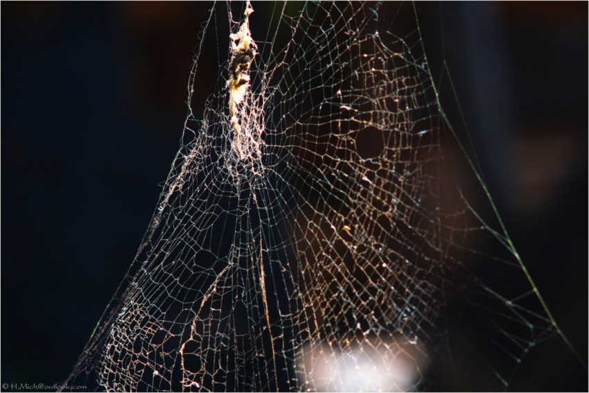 Studio-One.Art.br Repo Fotografia em Rio Preto SP/Brasil