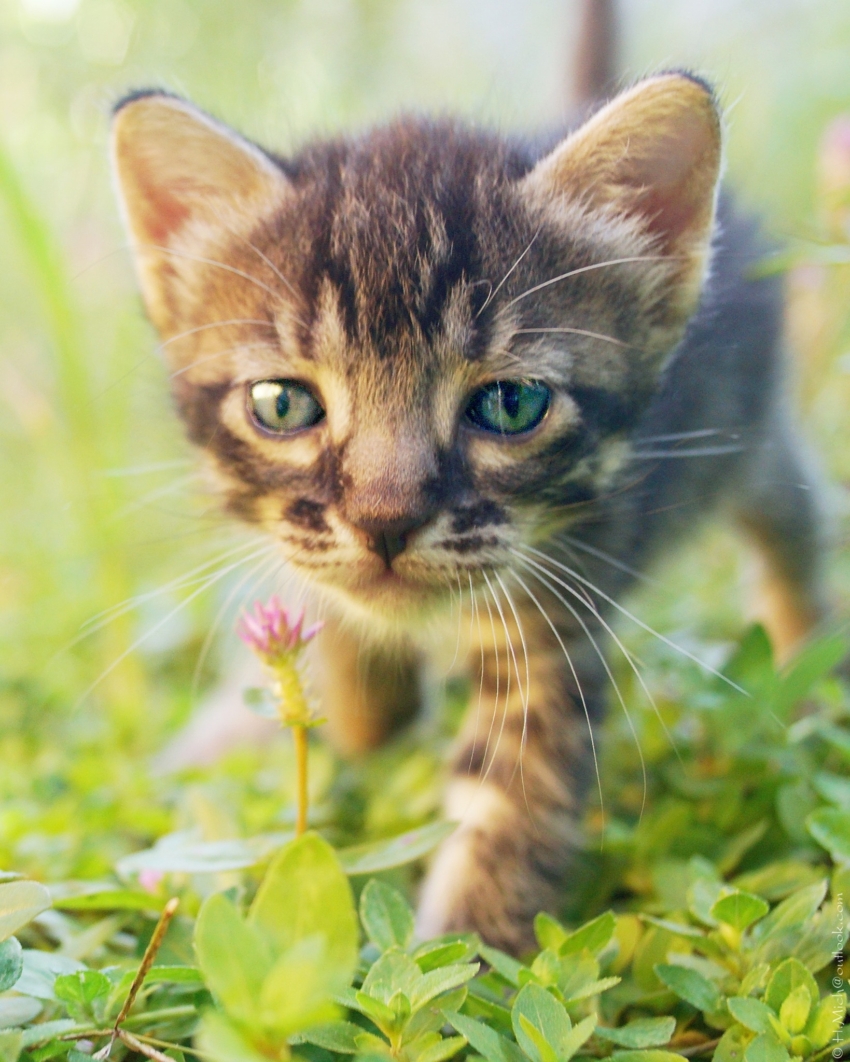 Studio-One.Art.br Repo Fotografia em Rio Preto SP/Brasil