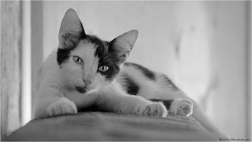 Studio-One.Art.br Repo Fotografia em Rio Preto SP/Brasil