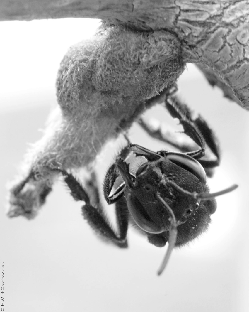 Studio-One.Art.br Repo Fotografia em Rio Preto SP/Brasil