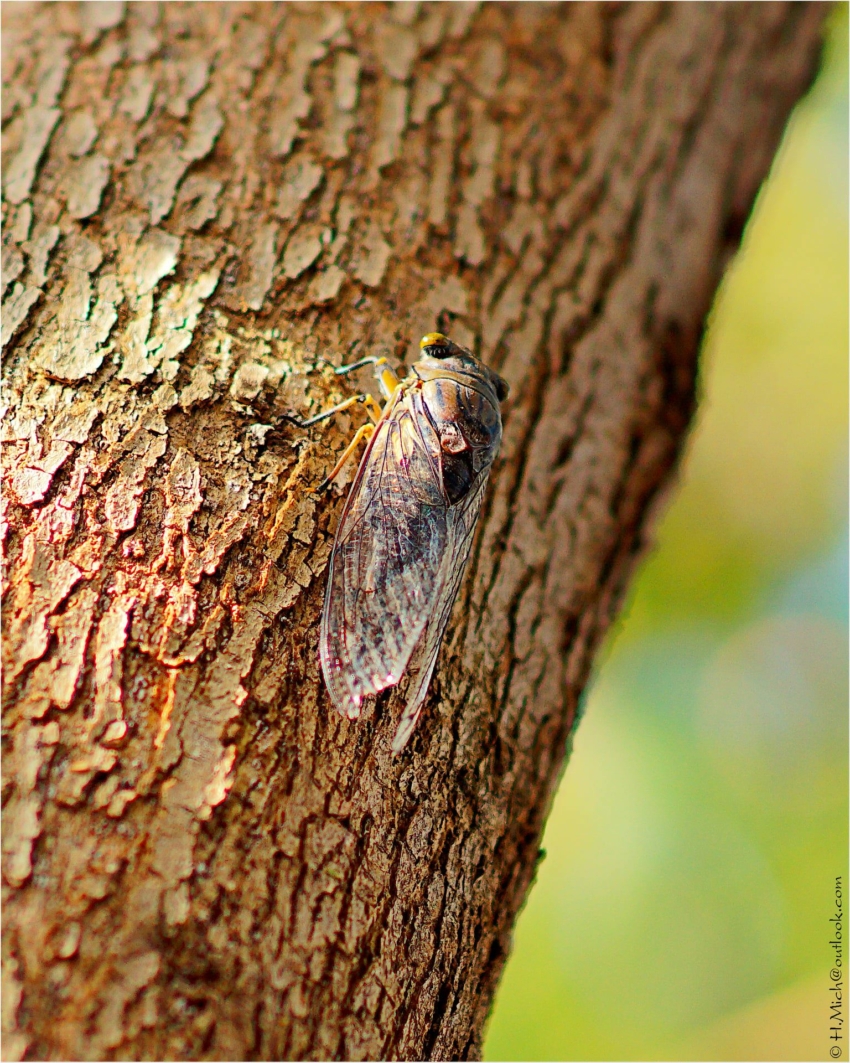 Studio-One.Art.br Repo Fotografia em Rio Preto SP/Brasil