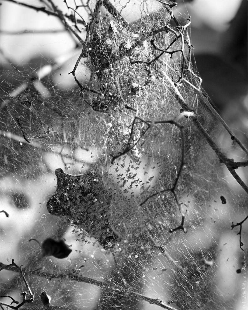 Studio-One.Art.br Repo Fotografia em Rio Preto SP/Brasil