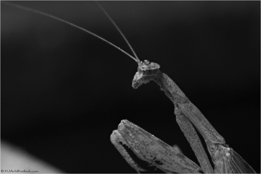 Studio-One.Art.br Repo Fotografia em Rio Preto SP/Brasil