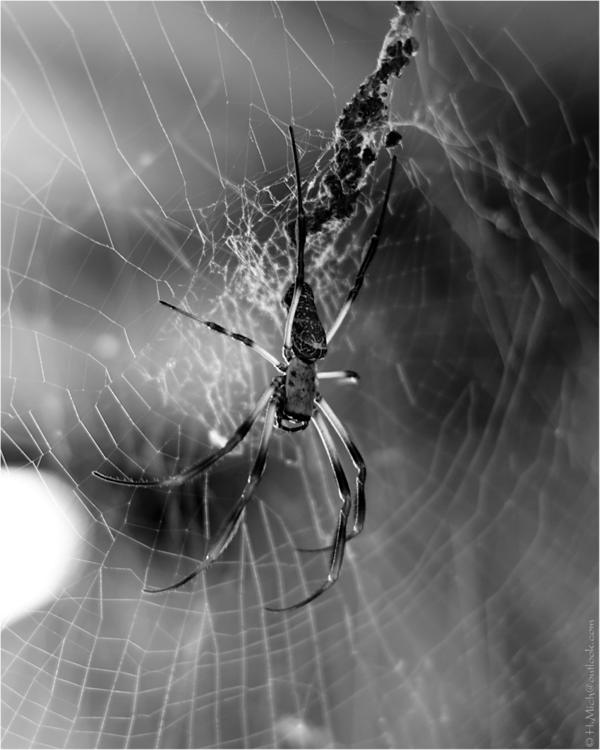 Studio-One.Art.br Repo Fotografia em Rio Preto SP/Brasil