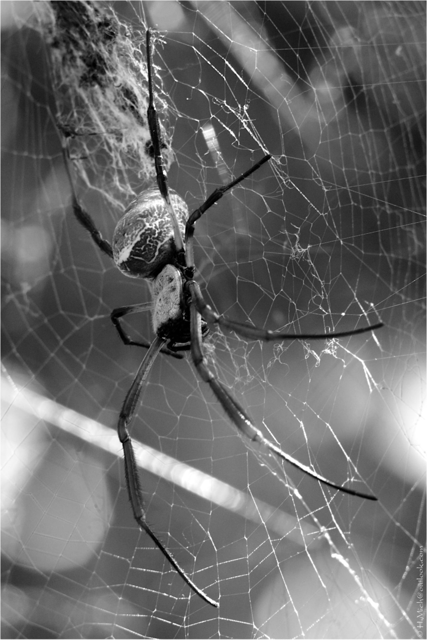 Studio-One.Art.br Repo Fotografia em Rio Preto SP/Brasil