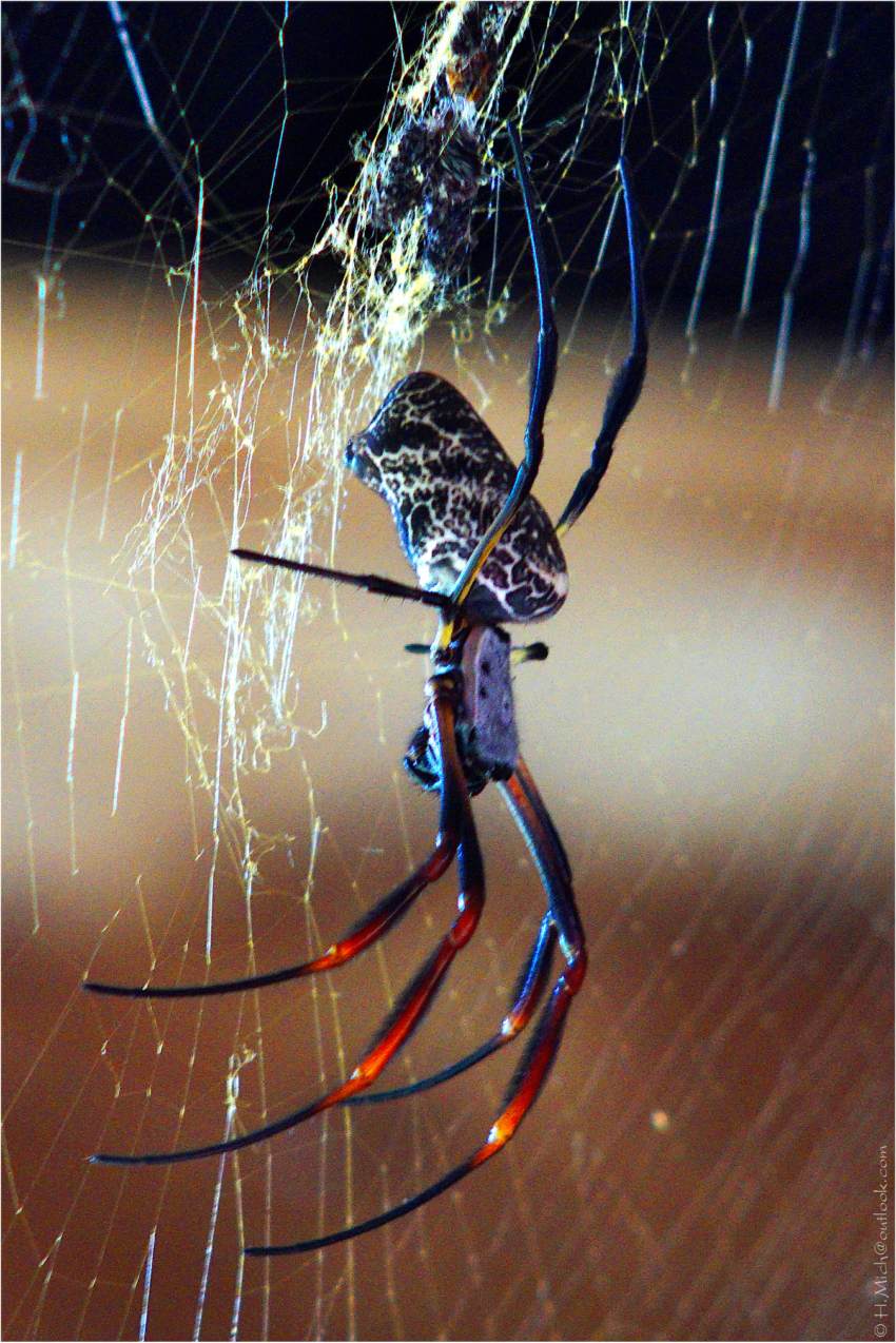 Studio-One.Art.br Repo Fotografia em Rio Preto SP/Brasil