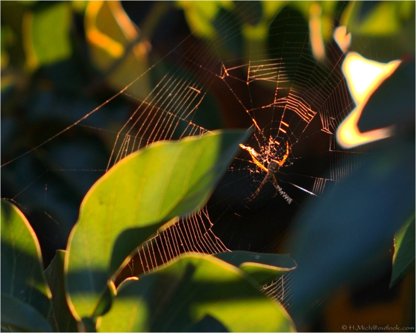 Studio-One.Art.br Repo Fotografia em Rio Preto SP/Brasil