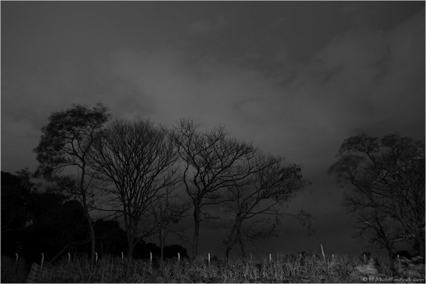 Studio-One.Art.br Repo Fotografia em Rio Preto SP/Brasil