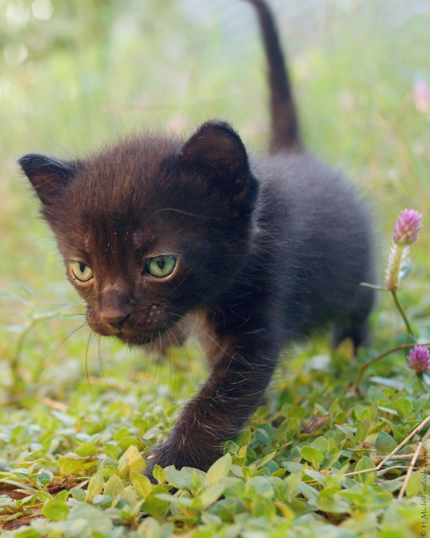Studio-One.Art.br Repo Fotografia em Rio Preto SP/Brasil