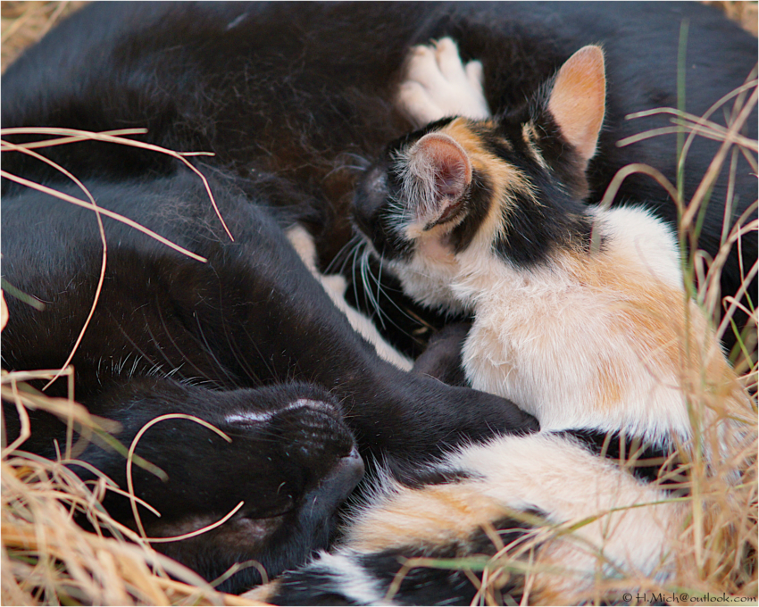 Studio-One.Art.br Repo Fotografia em Rio Preto SP/Brasil