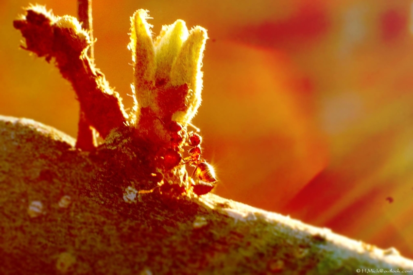 Studio-One.Art.br Repo Fotografia em Rio Preto SP/Brasil