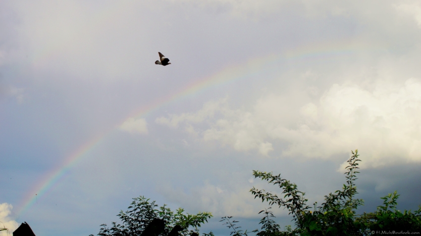 Studio-One.Art.br Repo Fotografia em Rio Preto SP/Brasil