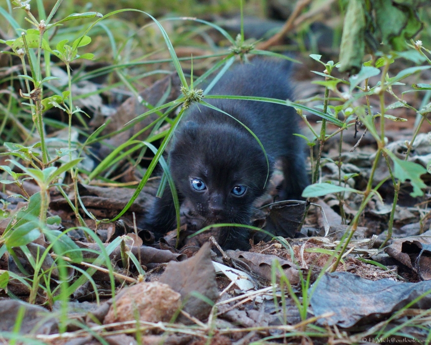Studio-One.Art.br Repo Fotografia em Rio Preto SP/Brasil