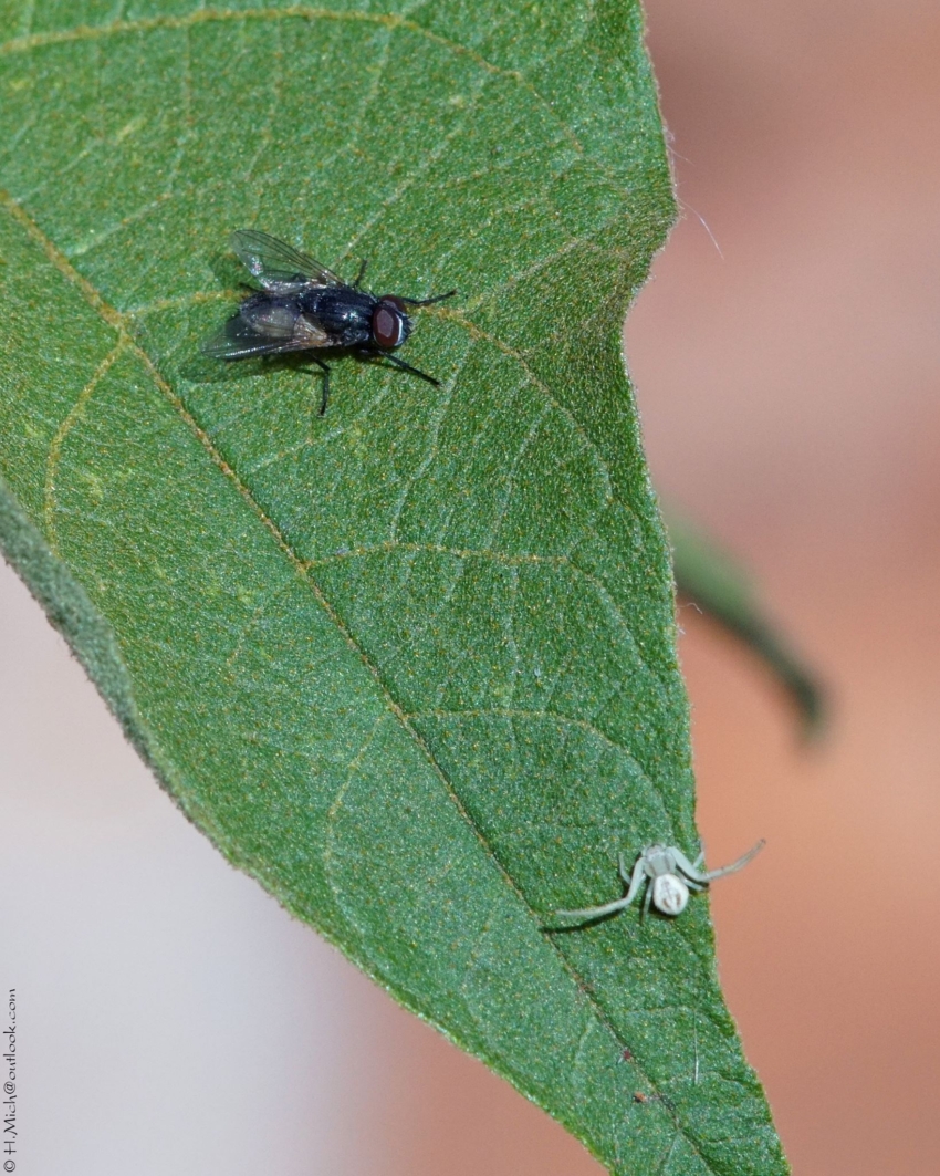 Studio-One.Art.br Repo Fotografia em Rio Preto SP/Brasil