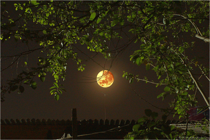 Studio-One.Art.br Repo Fotografia em Rio Preto SP/Brasil