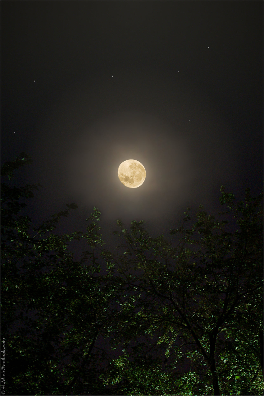 Studio-One.Art.br Repo Fotografia em Rio Preto SP/Brasil