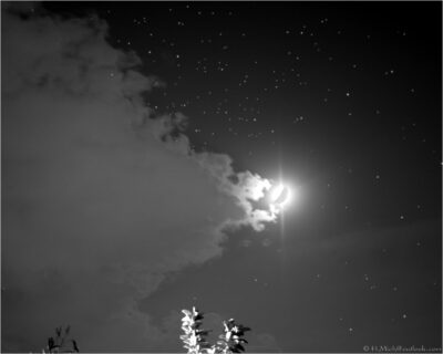 2022 06 16(269)