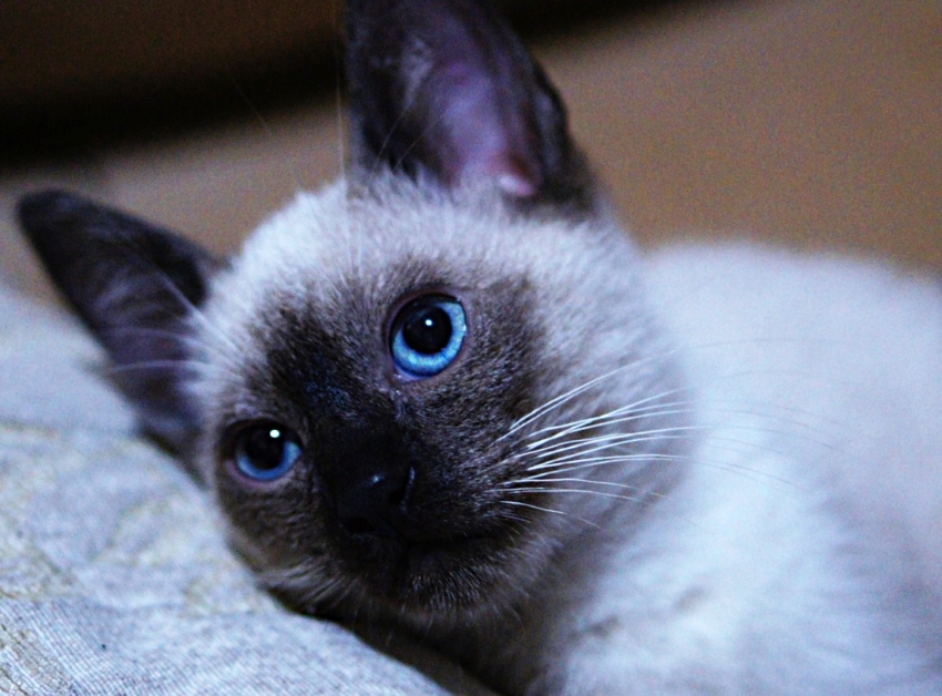 Studio-One.Art.br Repo Fotografia em Rio Preto SP/Brasil