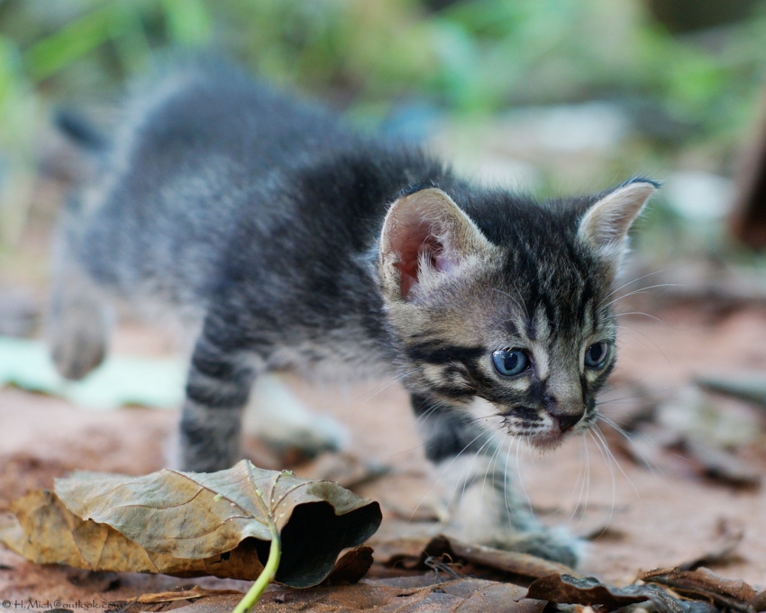Studio-One.Art.br Repo Fotografia em Rio Preto SP/Brasil