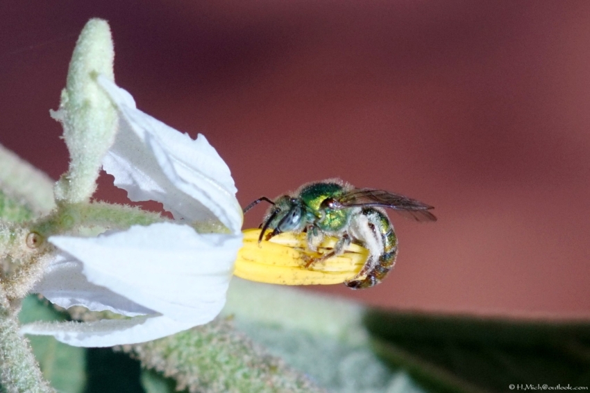 Studio-One.Art.br Repo Fotografia em Rio Preto SP/Brasil