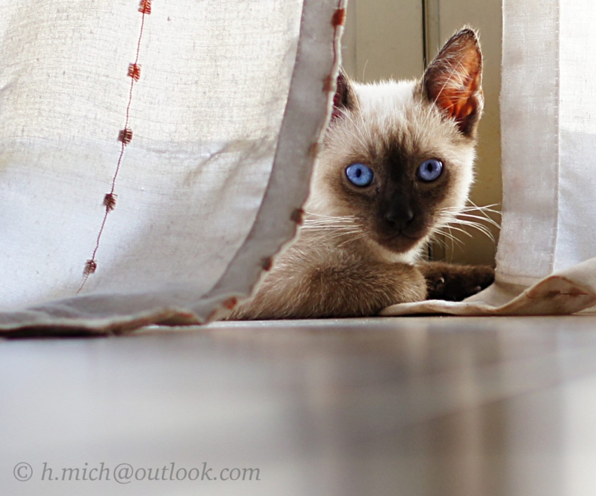 Studio-One.Art.br Repo Fotografia em Rio Preto SP/Brasil