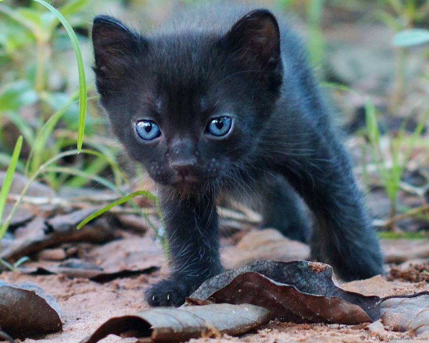 Studio-One.Art.br Repo Fotografia em Rio Preto SP/Brasil