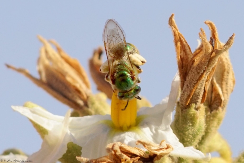 Studio-One.Art.br Repo Fotografia em Rio Preto SP/Brasil