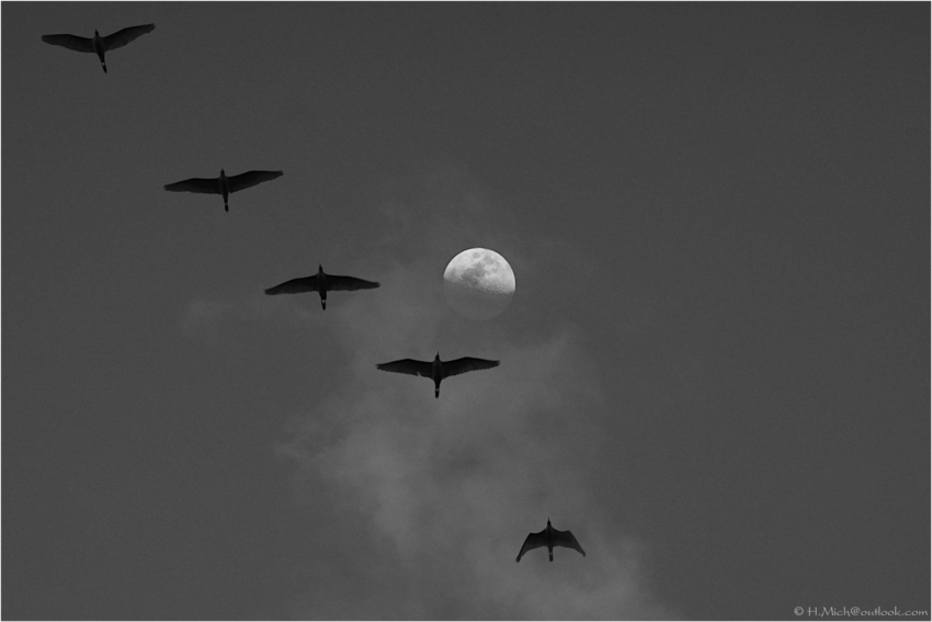 Studio-One.Art.br Repo Fotografia em Rio Preto SP/Brasil