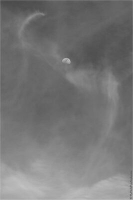 2022 06 16(289)
