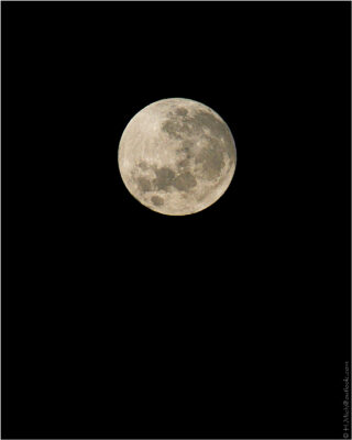 2022 06 16(295)