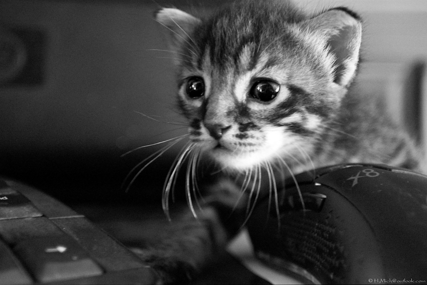 Studio-One.Art.br Repo Fotografia em Rio Preto SP/Brasil