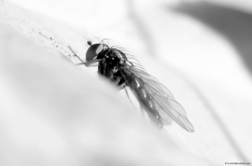 Studio-One.Art.br Repo Fotografia em Rio Preto SP/Brasil