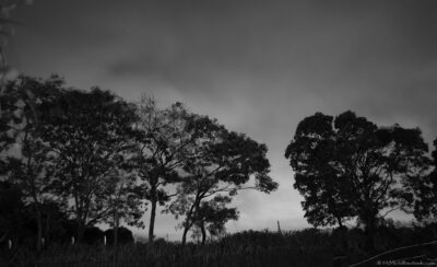 2022 06 16(3)