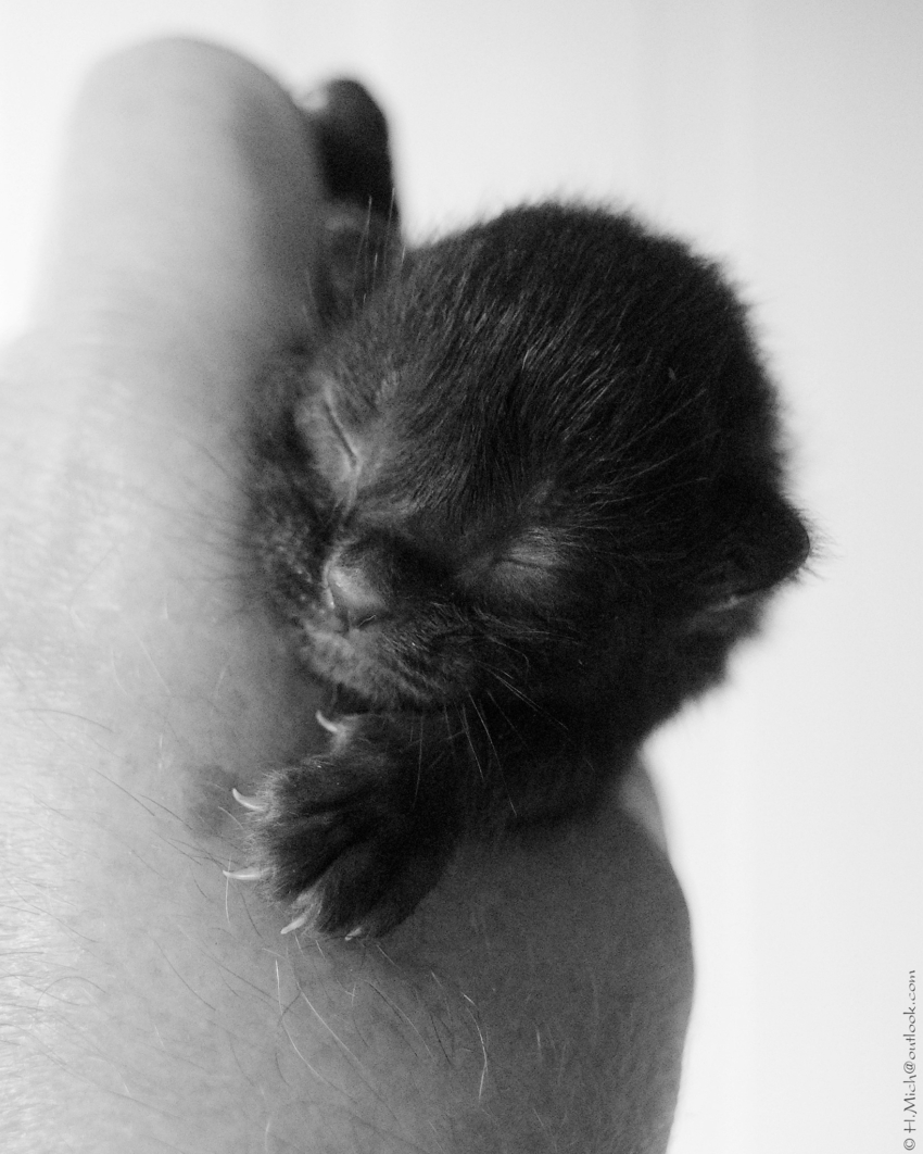 Studio-One.Art.br Repo Fotografia em Rio Preto SP/Brasil