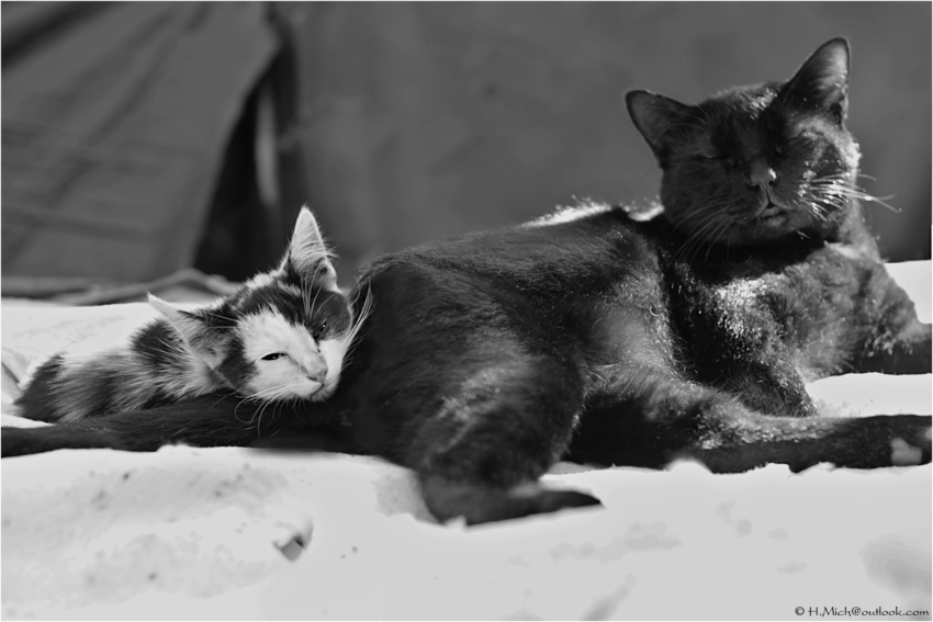 Studio-One.Art.br Repo Fotografia em Rio Preto SP/Brasil