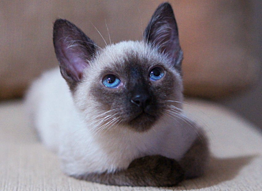 Studio-One.Art.br Repo Fotografia em Rio Preto SP/Brasil