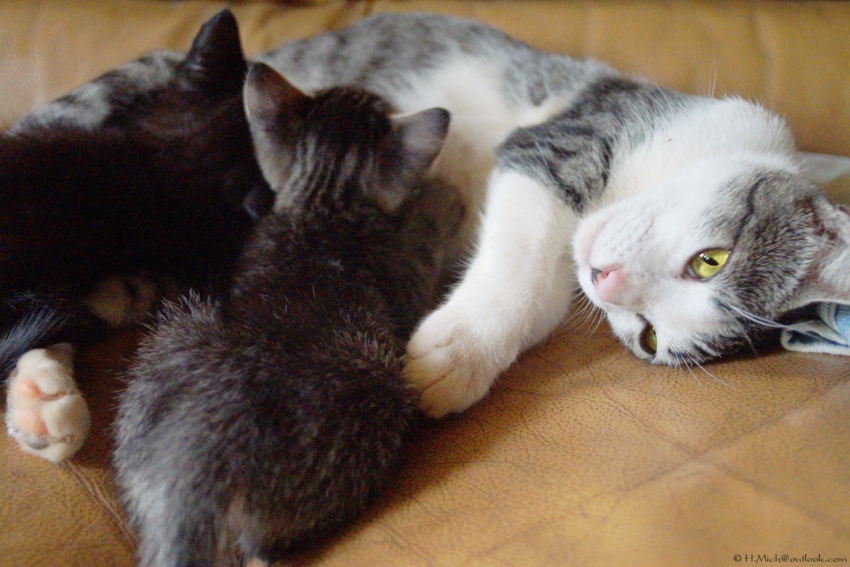 Studio-One.Art.br Repo Fotografia em Rio Preto SP/Brasil