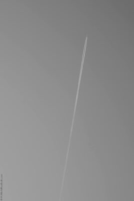 2022 06 16(30)