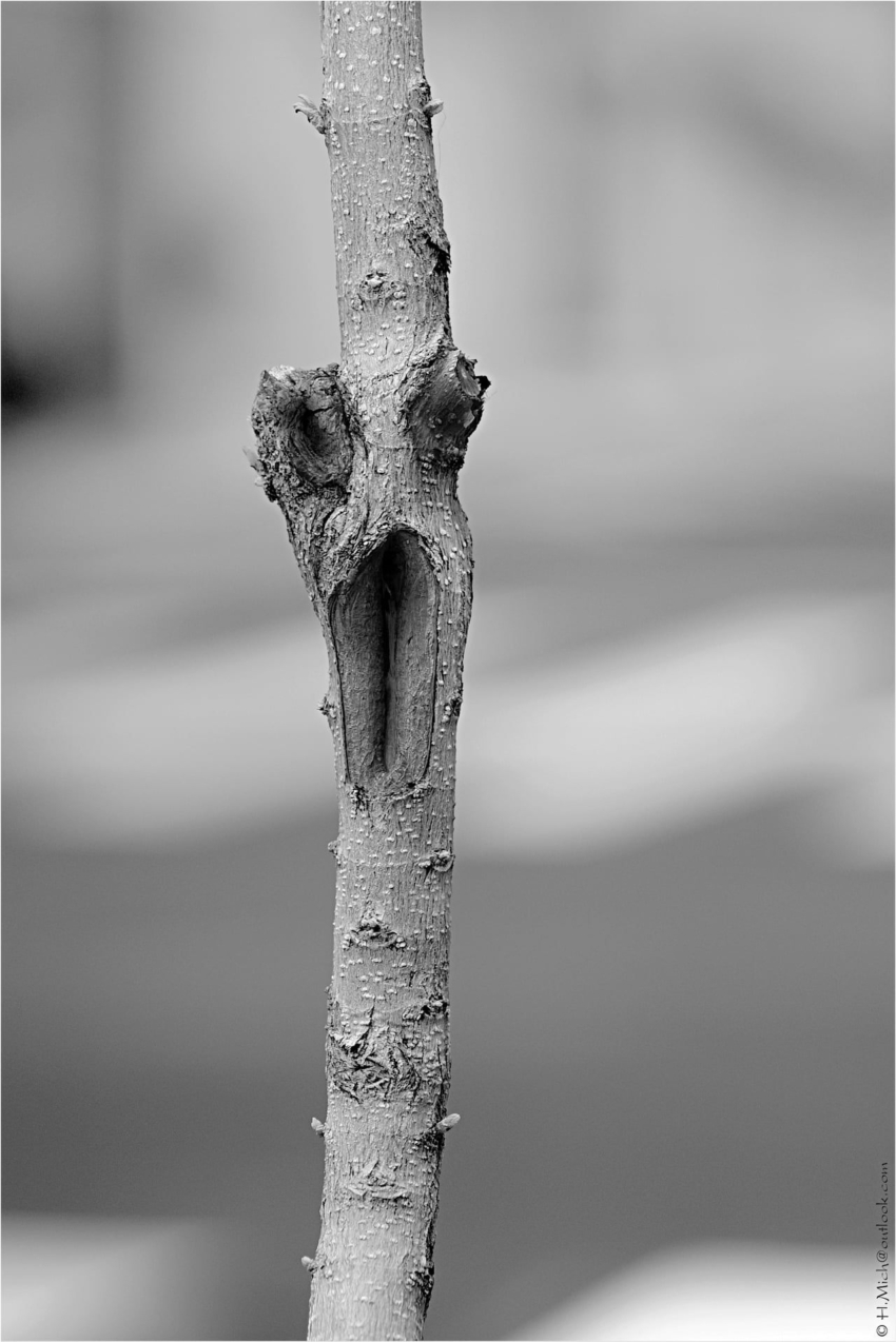 Studio-One.Art.br Repo Fotografia em Rio Preto SP/Brasil