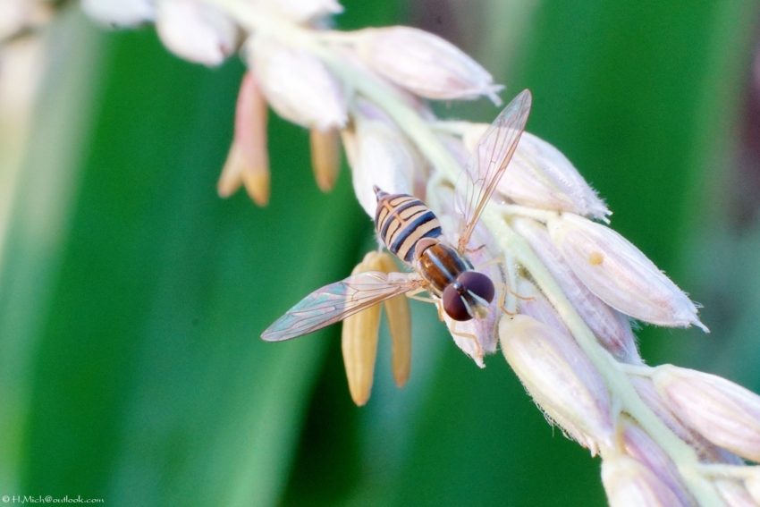 Studio-One.Art.br Repo Fotografia em Rio Preto SP/Brasil