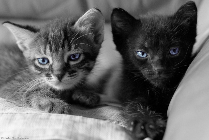 Studio-One.Art.br Repo Fotografia em Rio Preto SP/Brasil