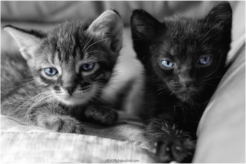 Studio-One.Art.br Repo Fotografia em Rio Preto SP/Brasil