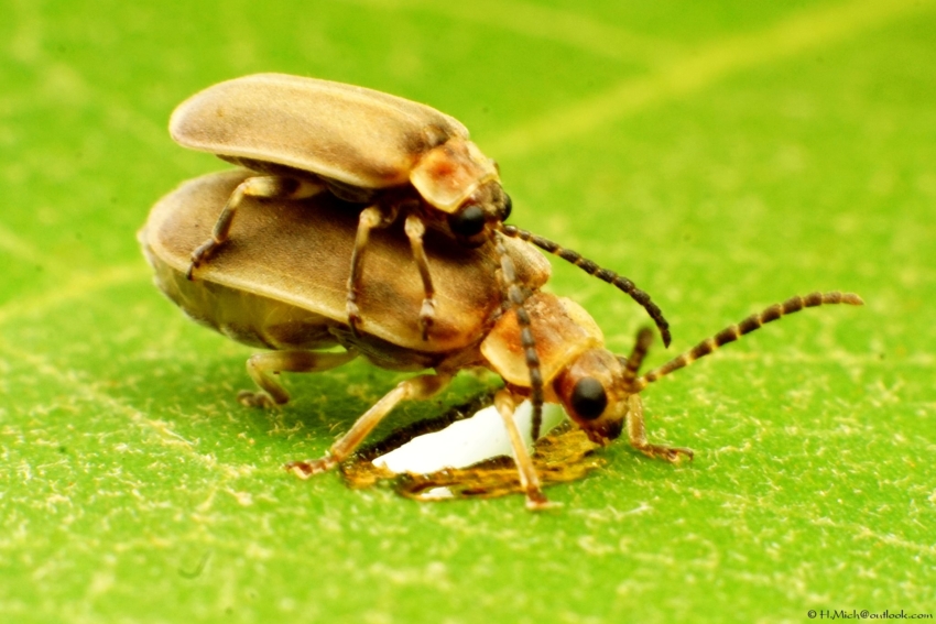 Studio-One.Art.br Repo Fotografia em Rio Preto SP/Brasil