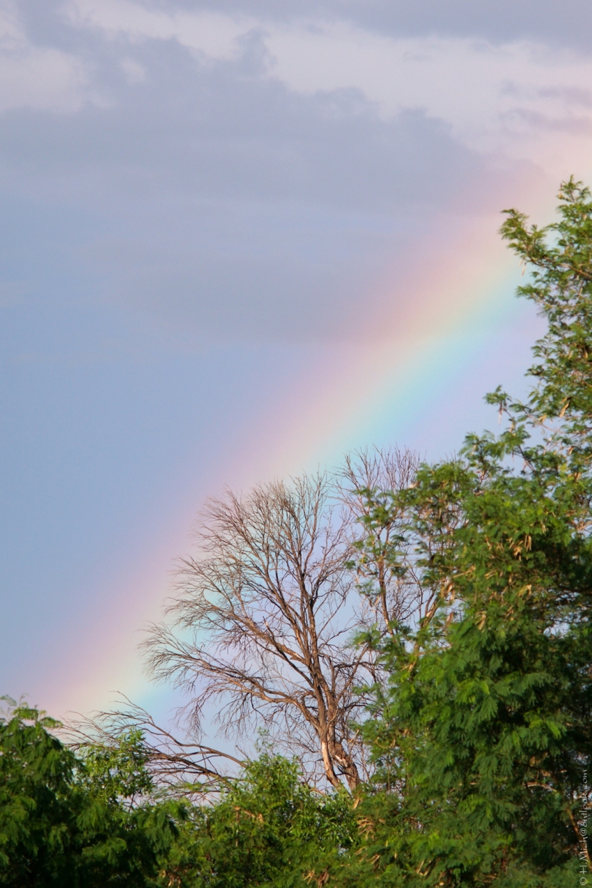Studio-One.Art.br Repo Fotografia em Rio Preto SP/Brasil