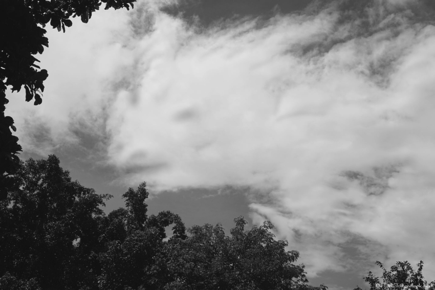 Studio-One.Art.br Repo Fotografia em Rio Preto SP/Brasil